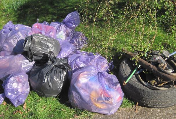 Some of the litter and rubbish collected