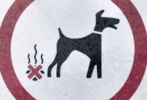 Dog fouling