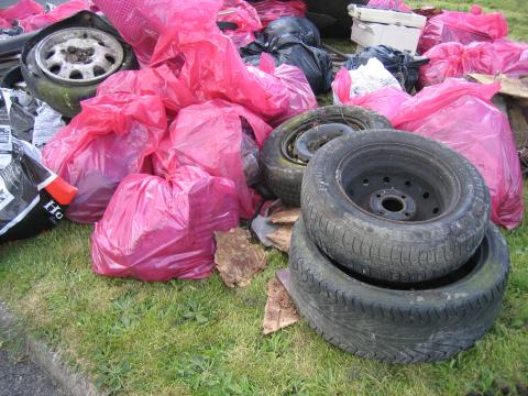 Litter Picking Morning