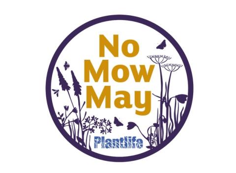 No mow may