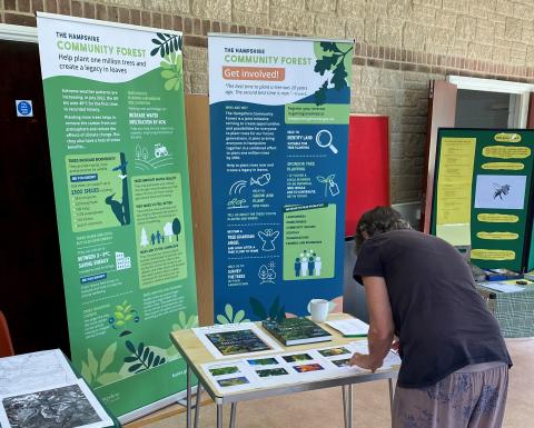 Trees at Village Show