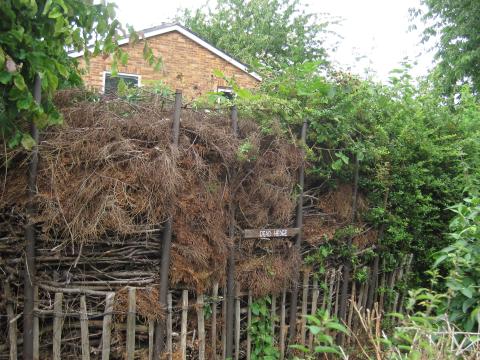 Dead Hedge photo