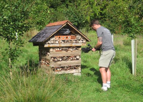 Pollinator filming