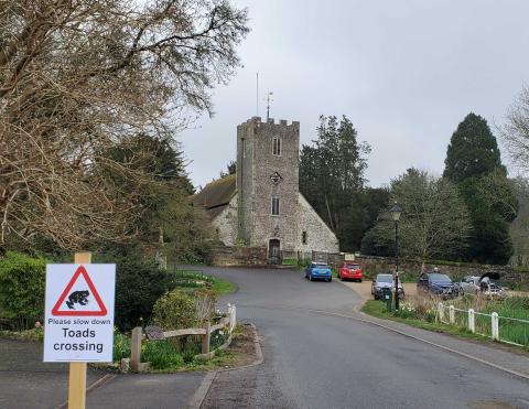 Toads crossing sign