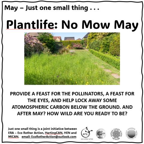 No Mow May