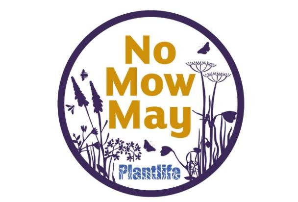 No mow may