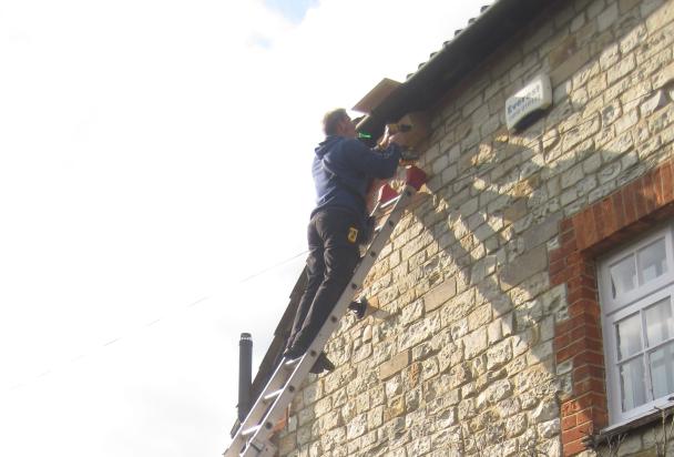 Swift box installation