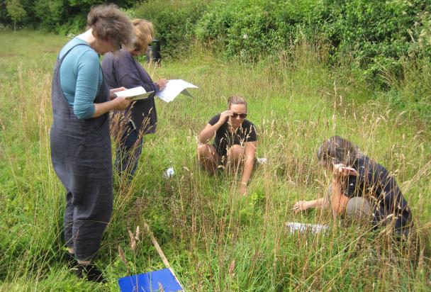 Rec Ground Survey 2023