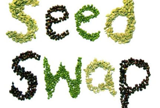 Seed swap